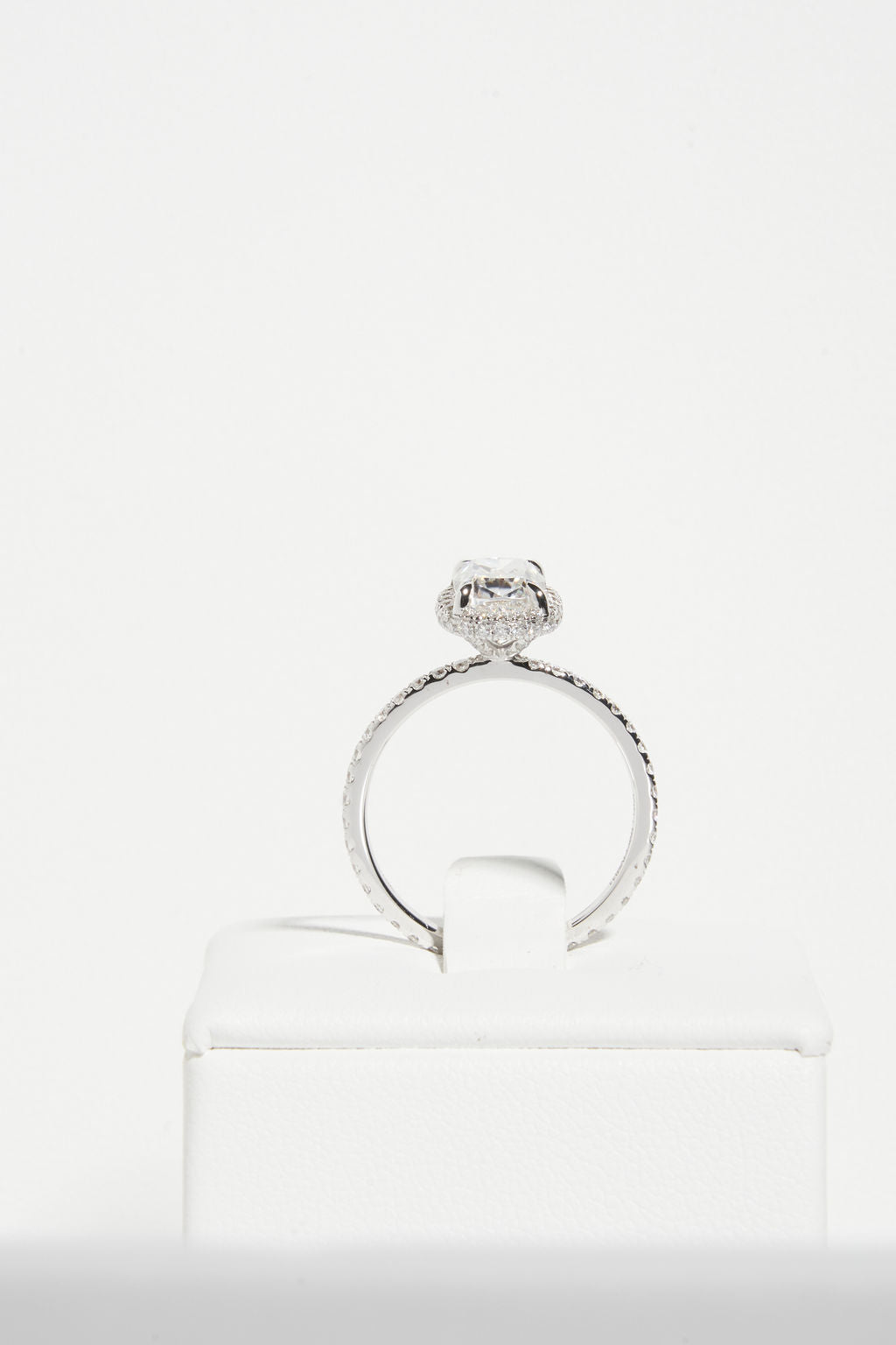 Cushion Halo